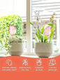 Garden Pink Tulip Plant Watering Balls, Suitable For Indoor Outdoor Plants, Automatic Plant Drippers, And Automatic Watering